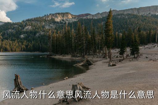 風(fēng)流人物什么意思風(fēng)流人物是什么意思