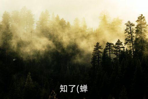 知了吃什么東西,蟬目蟬科有兩種分布在澳大利亞南部