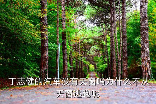 丁志健,北大高材生放棄汽車只為等待救援人員