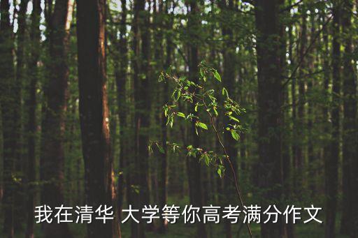 我在清華 大學(xué)等你高考滿分作文