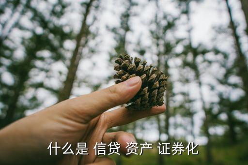 信貸資產證券化,cdb所說的信貸資產證券化是狹義概念