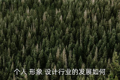 個人 形象 設計行業的發展如何