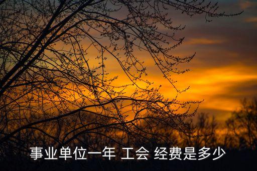 事業(yè)單位一年 工會 經(jīng)費(fèi)是多少