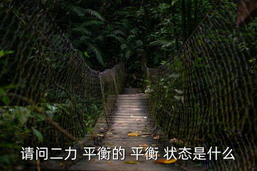 平衡狀態(tài),物體處于靜止狀態(tài)或直線運動狀態(tài)時兩個力相互抵消