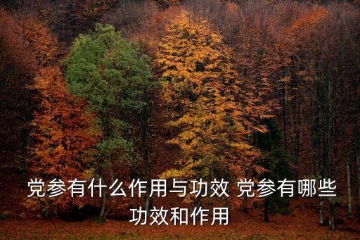 黨參,吃黨參可增加23%體重嗎?