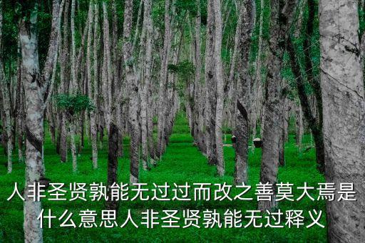 人非圣賢孰能無過過而改之善莫大焉是什么意思人非圣賢孰能無過釋義