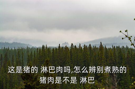 這是豬的 淋巴肉嗎,怎么辨別煮熟的豬肉是不是 淋巴