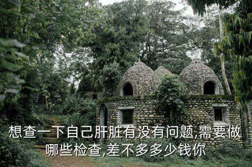 做肝穿刺要多少錢,影像學檢查可確定是否患有乙肝病毒