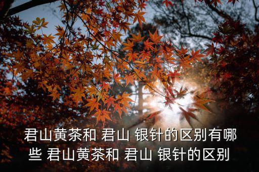  君山黃茶和 君山 銀針的區別有哪些 君山黃茶和 君山 銀針的區別