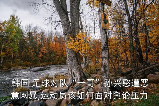 韓國足球明星,韓國和日本有哪些有名足球球星?