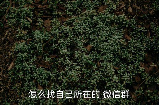 怎么找自己所在的 微信群