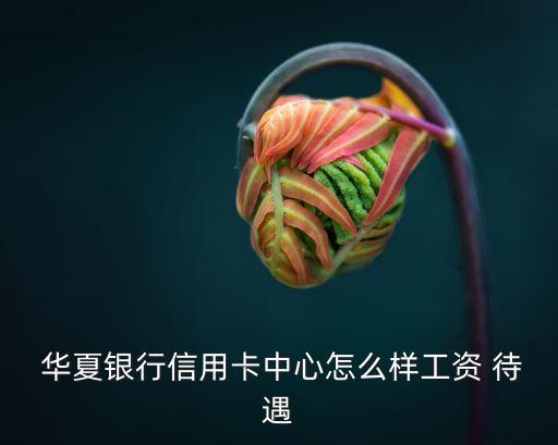  華夏銀行信用卡中心怎么樣工資 待遇