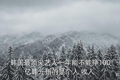  韓國最頂尖藝人一年能不能掙100億韓元指的是個人 收入