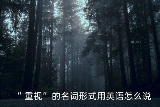 “ 重視”的名詞形式用英語怎么說