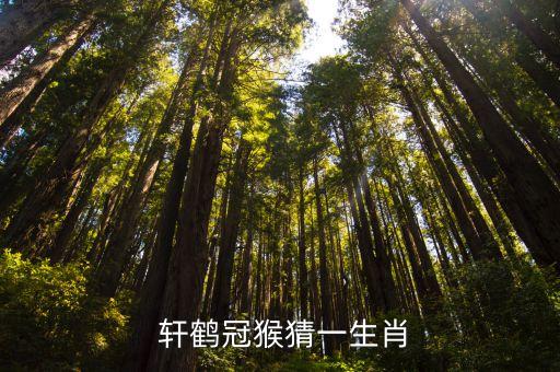 軒鶴冠猴,如愿以償!年輕知識分子考上大學河里鯉魚躍出水面