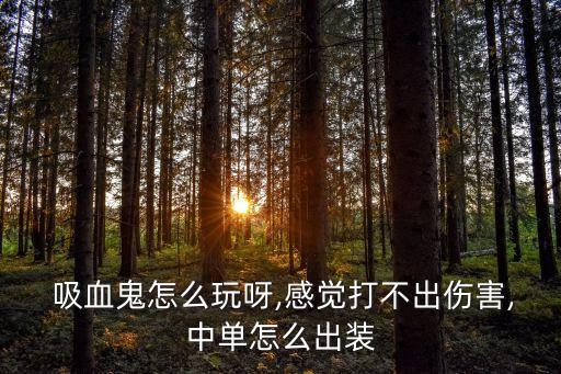  吸血鬼怎么玩呀,感覺打不出傷害,中單怎么出裝