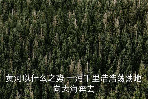 一瀉千里造句,第二集:黃河奔向大海一瀉千里