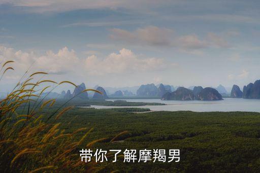 帶你了解摩羯男