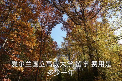 愛爾蘭留學(xué)費用,愛爾蘭design留學(xué)費用比歐洲低一些