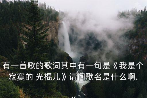 光棍好苦,光棍好苦歌曲:我是個寂寞的光棍