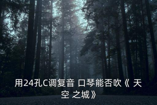 用24孔C調復音 口琴能否吹《 天空 之城》