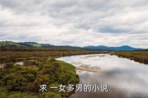 求 一女多男的小說(shuō)