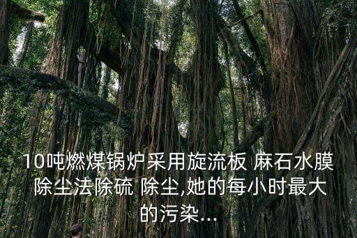 10噸燃煤鍋爐采用旋流板 麻石水膜 除塵法除硫 除塵,她的每小時最大的污染...