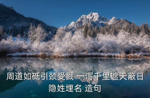 周道如砥引頸受戮 一瀉千里遮天蔽日隱姓埋名 造句