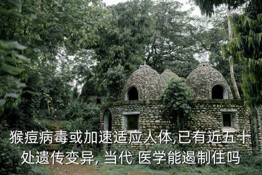 猴痘病毒或加速適應人體,已有近五十處遺傳變異, 當代 醫學能遏制住嗎
