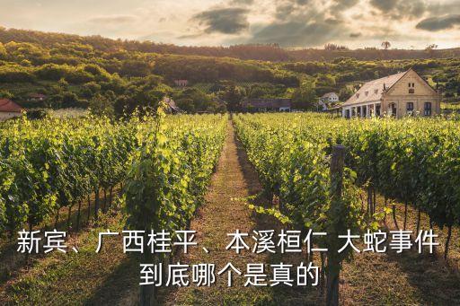 新賓、廣西桂平、本溪桓仁 大蛇事件到底哪個是真的