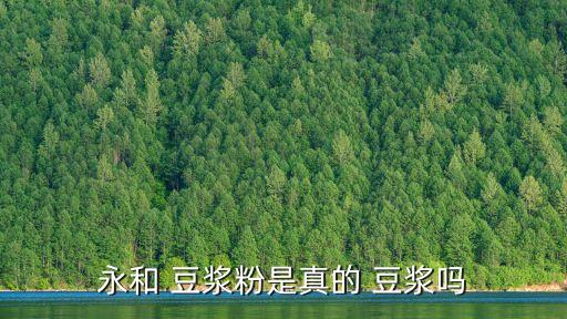 豆漿粉精,永和豆漿粉是真豆漿!原理與豆漿相同