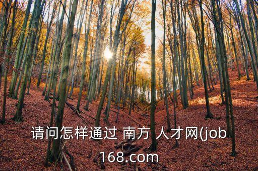 請問怎樣通過 南方 人才網(wǎng)(job168.com