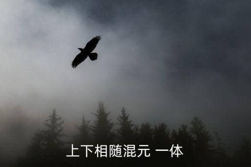 上下相隨混元 一體