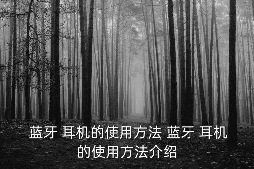 藍牙耳機使用方法,如何使用藍牙耳機進行配對使用方法（三）