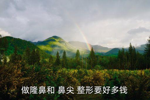 做隆鼻和 鼻尖 整形要好多錢