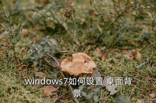 windows7桌面,鼠標點擊任務視圖按鈕可瀏覽多個桌面