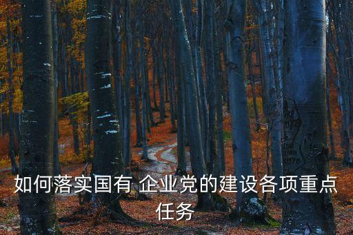 如何落實國有 企業黨的建設各項重點任務