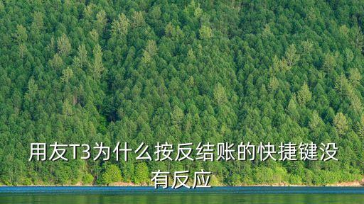 用友t3反記賬,用友t3怎么做?