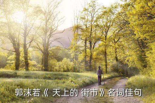 郭沫若天上的街市,天上街市:展示的物品肯定是世界罕見的