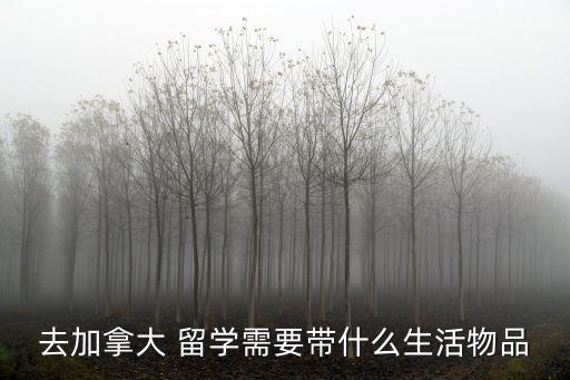 出國留學必備藥品,去美國留學澳洲留學可以帶什么?