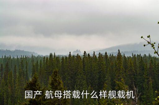 001航母,中國(guó)第一艘國(guó)產(chǎn)航母山東艦可搭載40架飛機(jī)