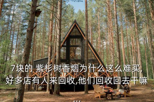 紫杉樹,廣州百百信息科技有限公司開發交友和虛擬商業游戲