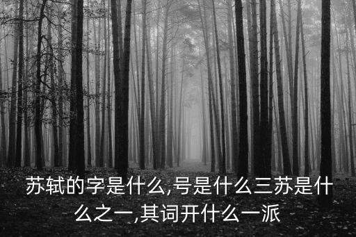 蘇軾是什么之一,蘇軾一所不羈學(xué)校開(kāi)宋辛派詞人先河