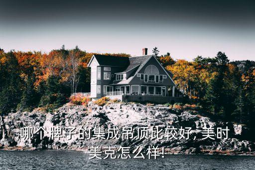 哪個牌子的集成吊頂比較好, 美時 美克怎么樣!