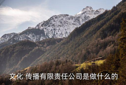 文化傳播有限公司,四川李海傳播文化有限公司很好!