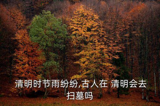  清明時(shí)節(jié)雨紛紛,古人在 清明會(huì)去掃墓嗎