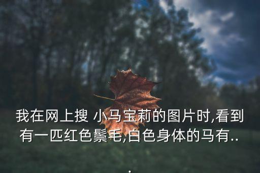 小馬圖片,勞倫創造小馬polly我將永遠愛它