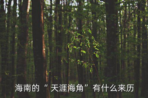  海南的“ 天涯海角”有什么來歷