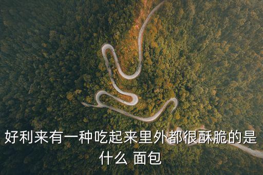 好利來有一種吃起來里外都很酥脆的是什么 面包