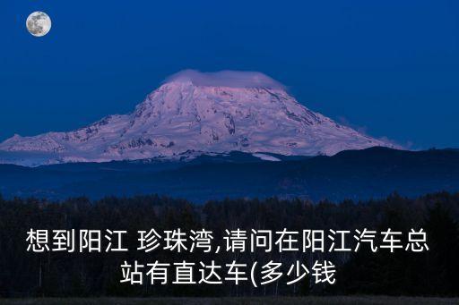 想到陽江 珍珠灣,請問在陽江汽車總站有直達車(多少錢
